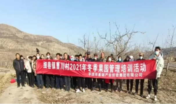 市产投集团在静宁帮扶村开展冬季果园管理培训(图3) 市产投集团在静宁帮扶村开展冬季果园管理培训(图3)